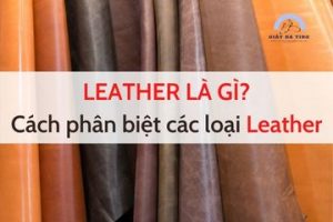Leather là gì? Cách phân biệt các loại leather đơn giản nhất hiện nay