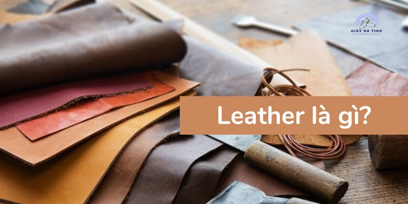 Leather là gì?